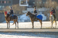 20230218-102054-DSC_8519