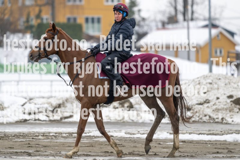 20230318-105713-DSC_0610