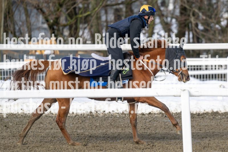 20230318-115913-DSC_1284