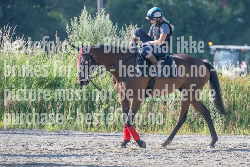 20250719-091132-DSC_2604