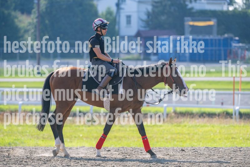 20250719-091156-DSC_2651