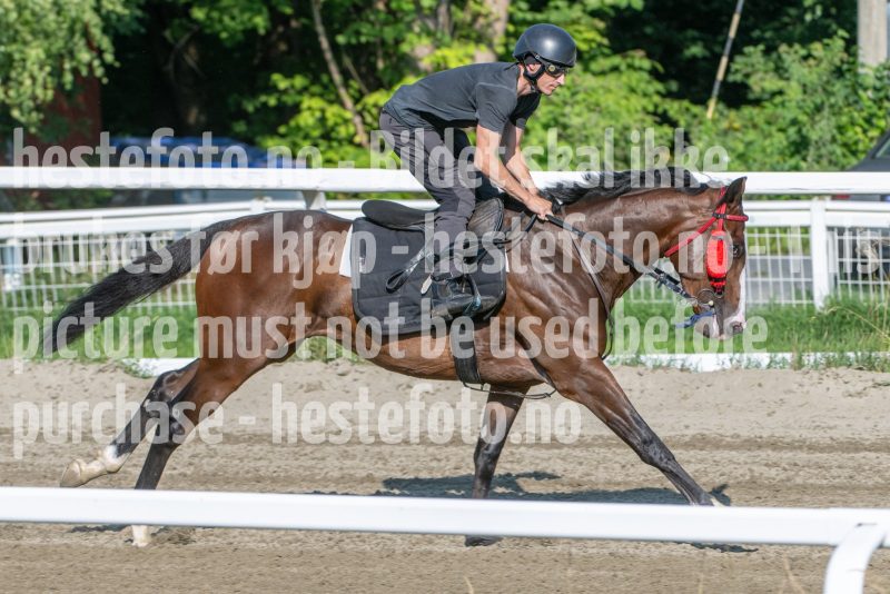 20250719-091739-DSC_2755