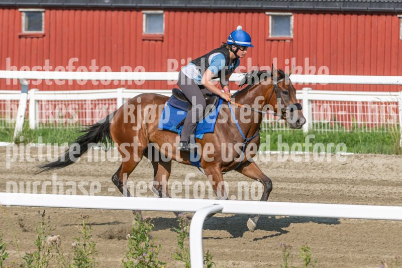 20250719-091802-DSC_2802