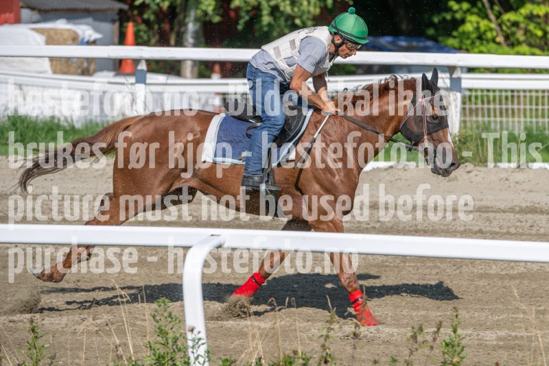 20250719-091858-DSC_2904