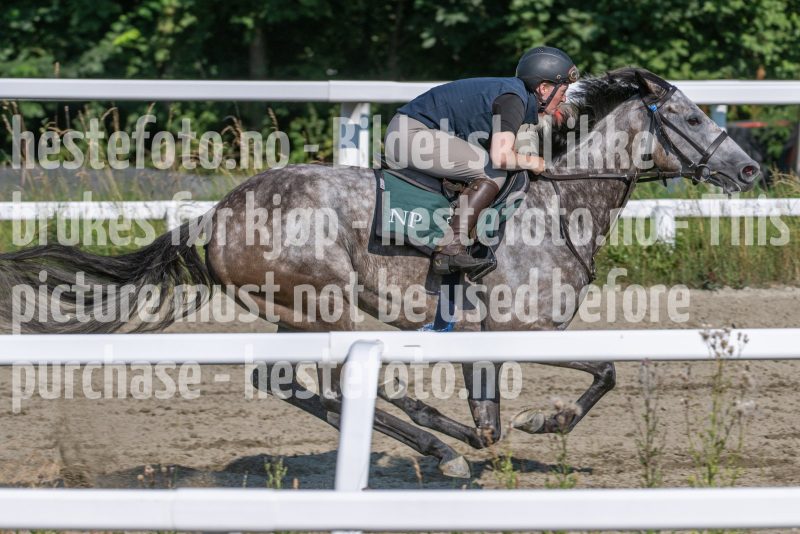 20250719-094233-DSC_3640