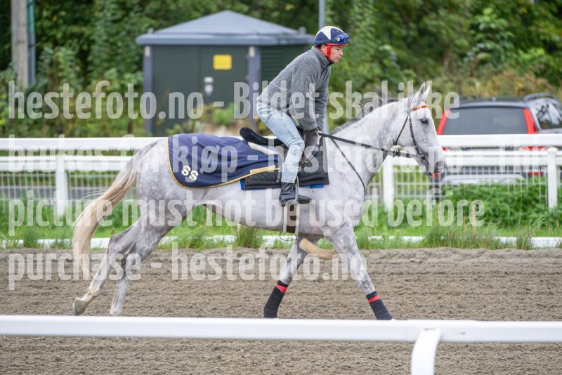 20250920-084503-DSC_7848