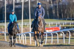 20251220-123948-DSC_4231