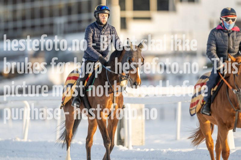 20230121-115107-DSC_7622
