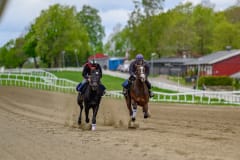 20210522-103325-DSC1237