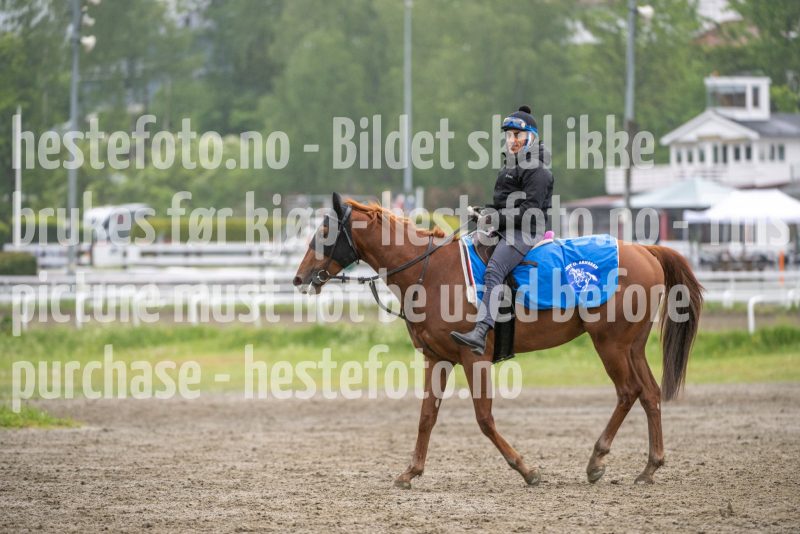 20250524-103835-DSC_8921