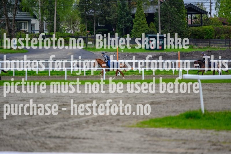 20210523-123049-DSC1918