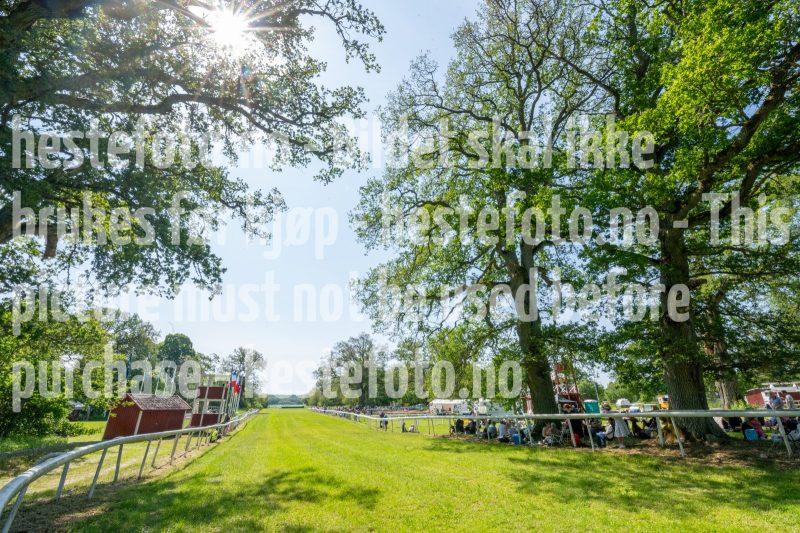 20250614-112426-DSC_1953