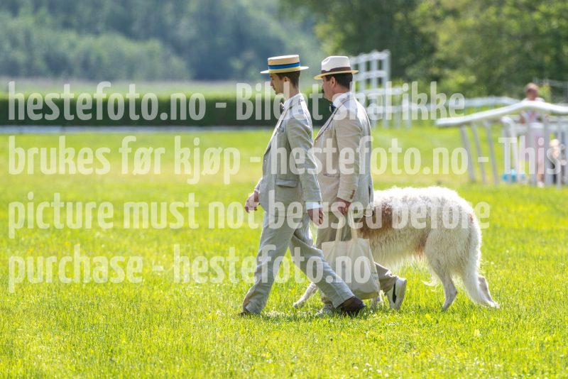 20250614-122930-DSC_6896