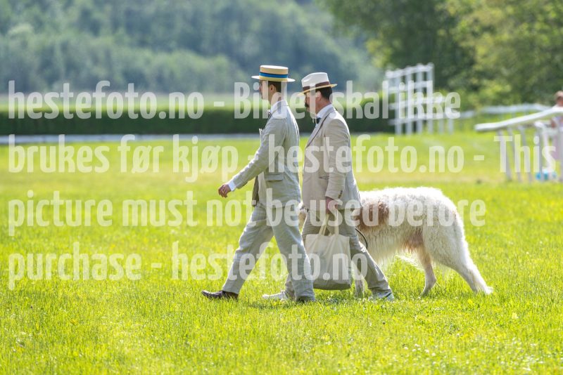 20250614-122930-DSC_6904