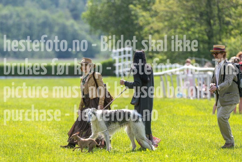 20250614-122932-DSC_6929