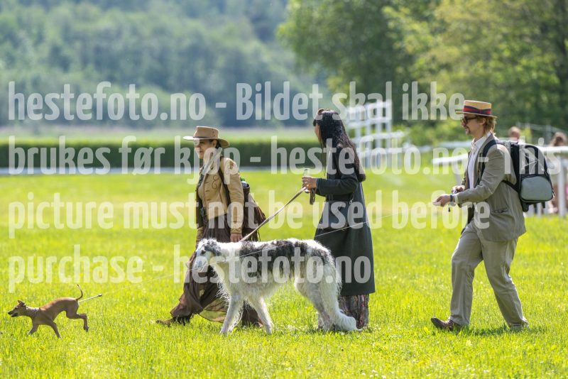 20250614-122933-DSC_6941