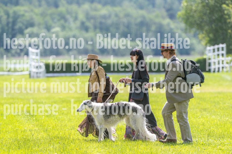 20250614-122934-DSC_6949