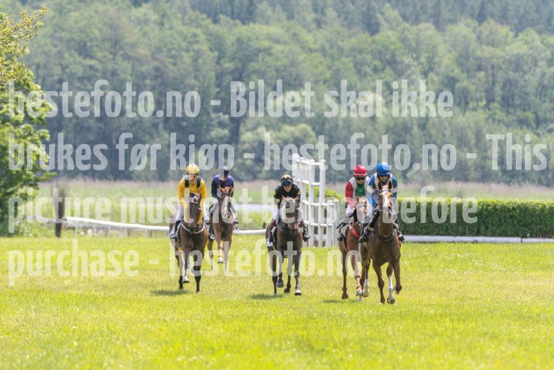 20250614-131131-DSC_7565