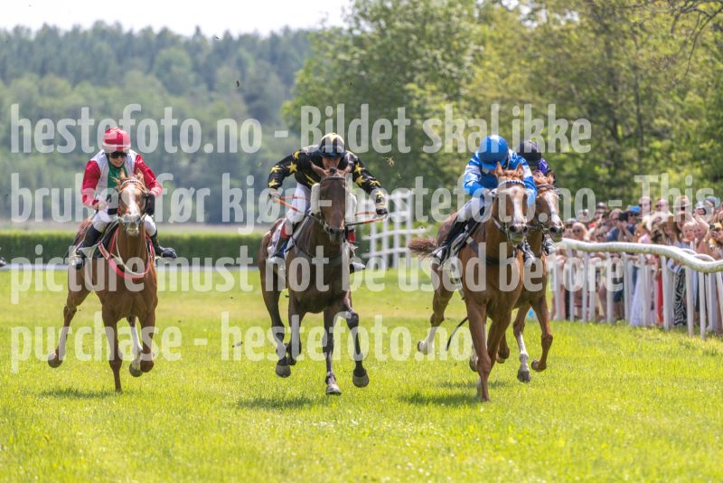 20250614-131418-DSC_8040