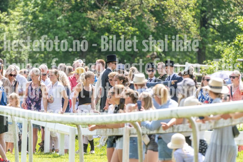 20250614-132712-DSC_8399