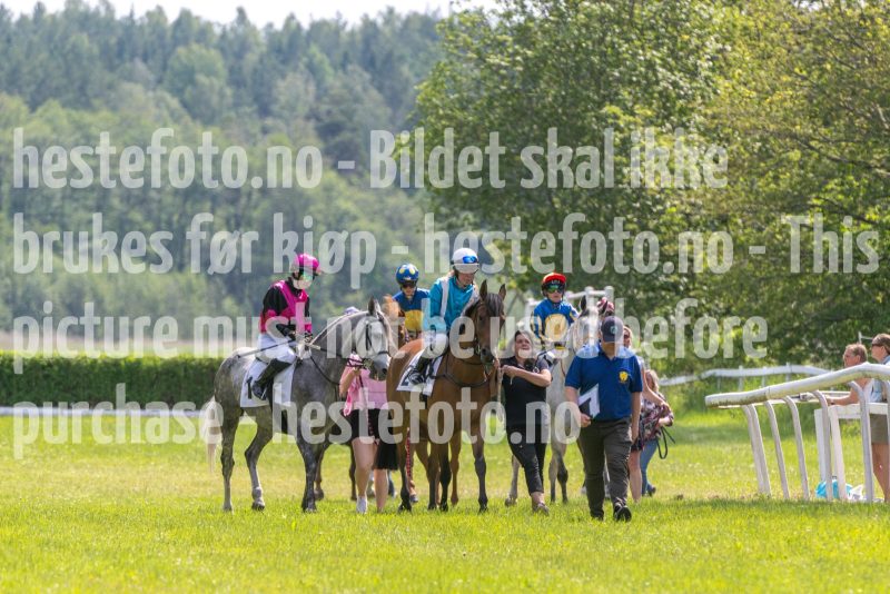 20250614-133815-DSC_9422