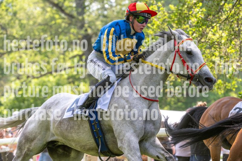20250614-134656-DSC_9955