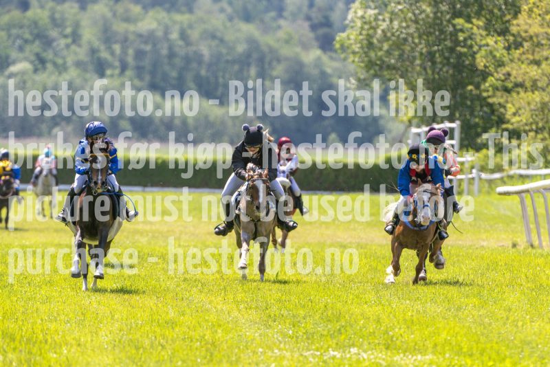 20250614-113004-DSC_4864