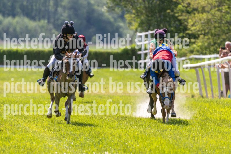 20250614-113004-DSC_4869