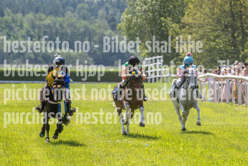 20250614-113014-DSC_5009