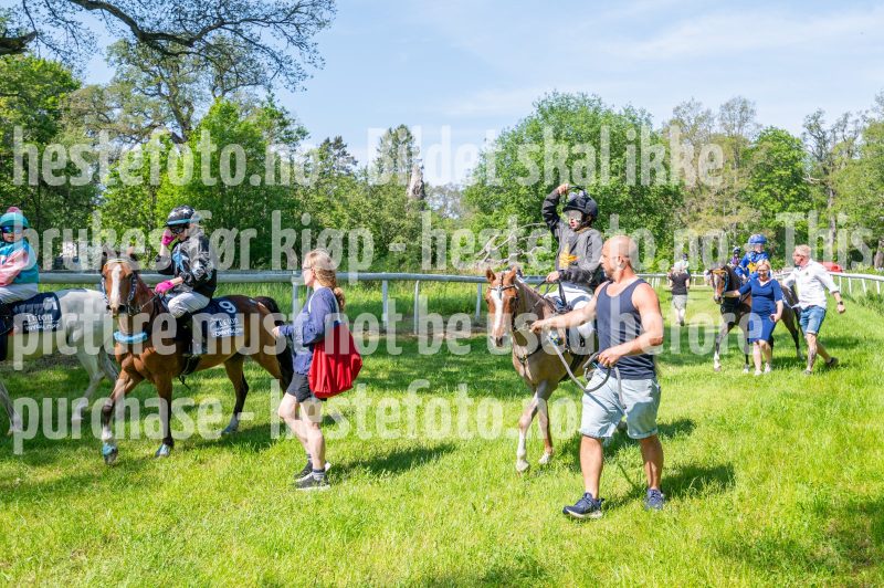 20250614-113122-DSC_1982