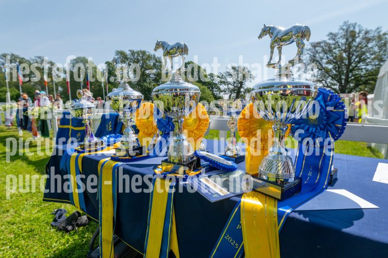 20250614-113516-DSC_2089