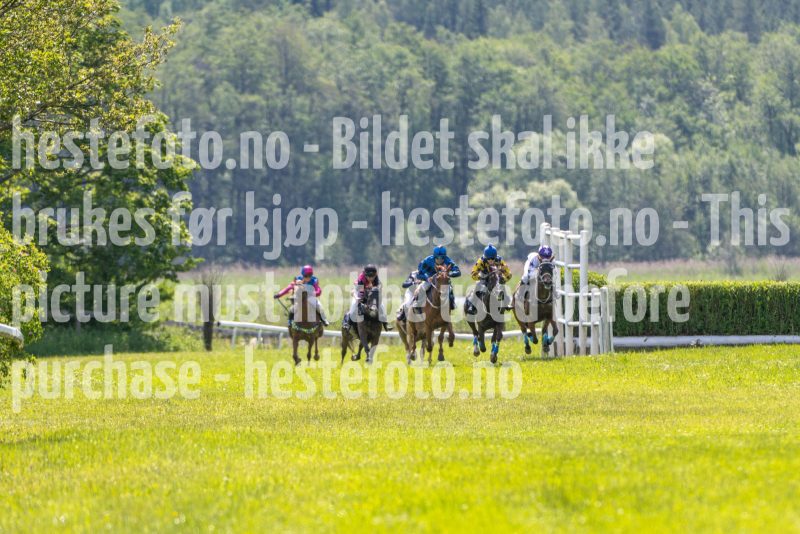 20250614-115953-DSC_5631