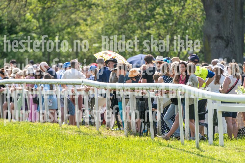 20250614-121518-DSC_6086