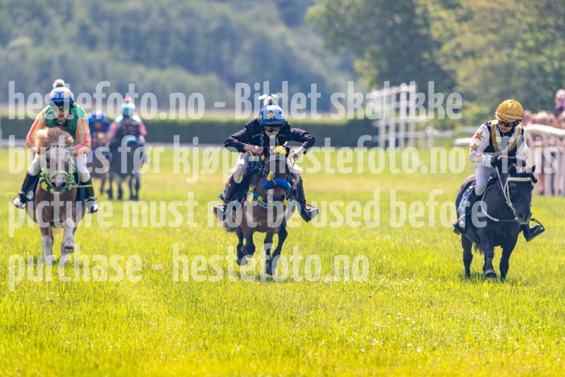 20250614-122040-DSC_6297
