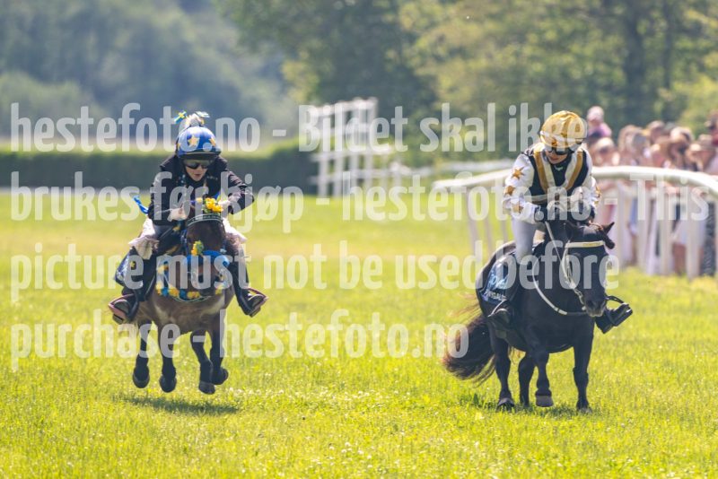 20250614-122040-DSC_6303