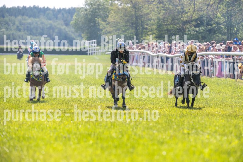 20250614-122042-DSC_6327