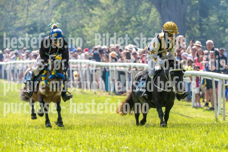 20250614-122043-DSC_6351
