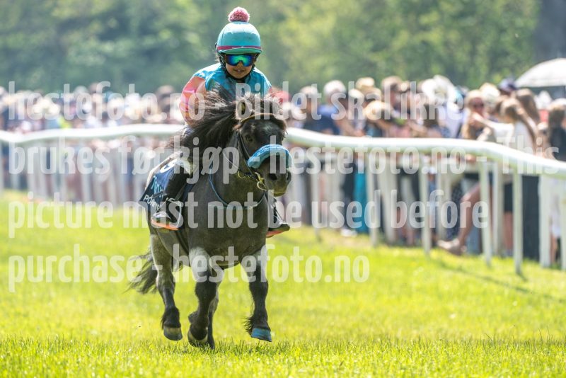 20250614-122049-DSC_6412