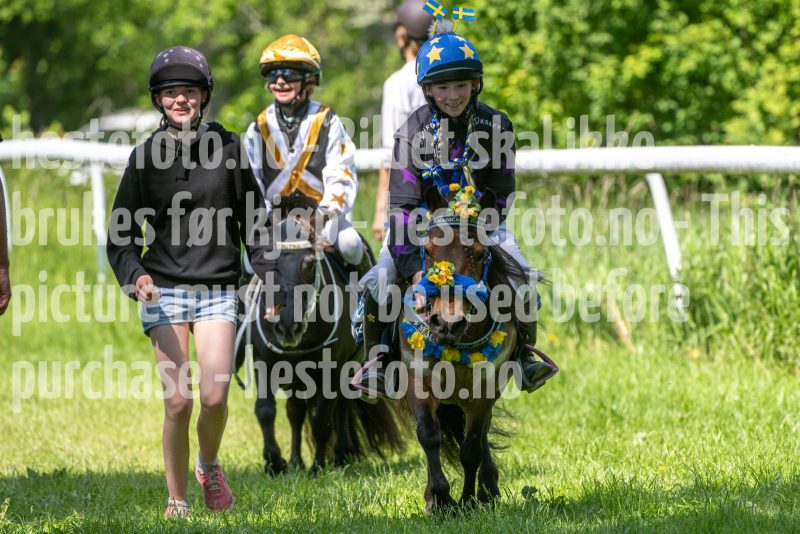 20250614-122231-DSC_6636