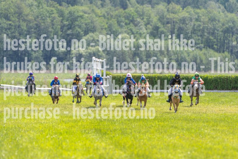 20250614-132741-DSC_8496