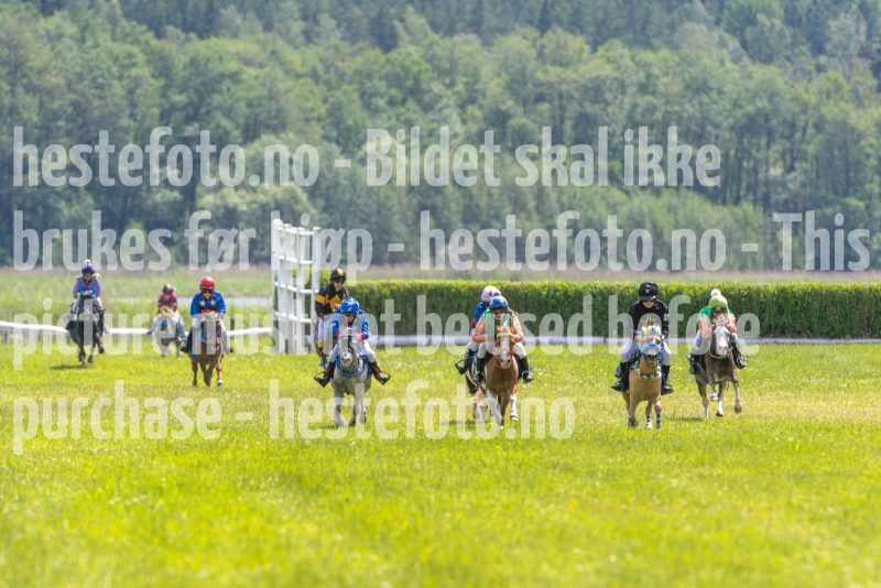 20250614-132742-DSC_8512