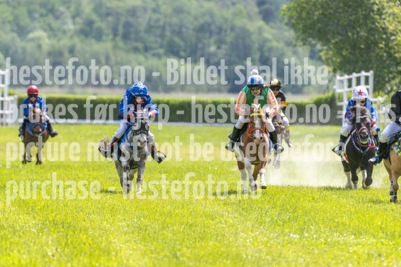 20250614-132748-DSC_8622