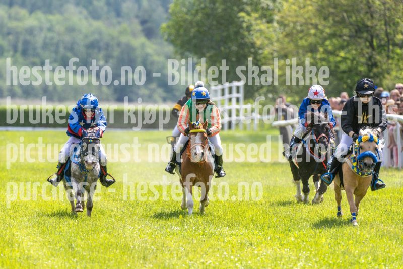 20250614-132750-DSC_8652