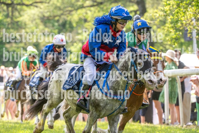20250614-132755-DSC_8735