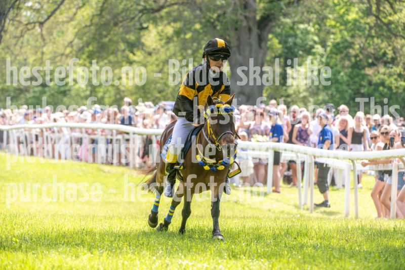 20250614-132756-DSC_8760