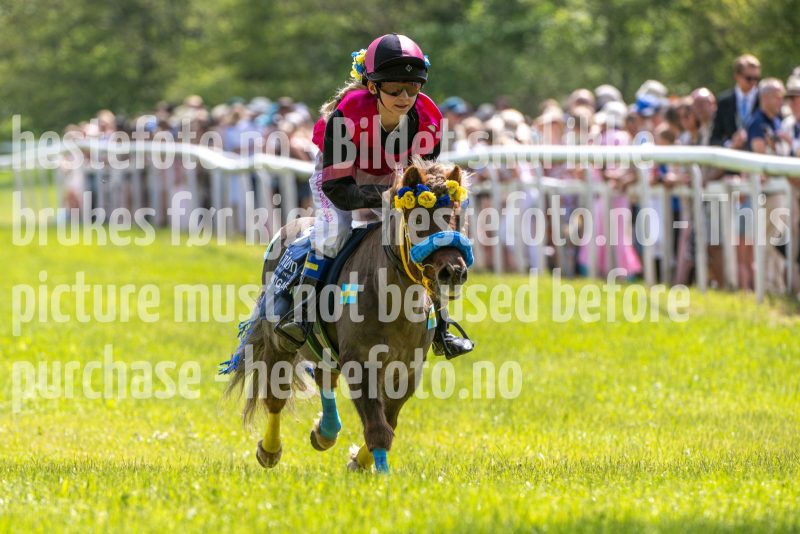 20250614-132806-DSC_8873