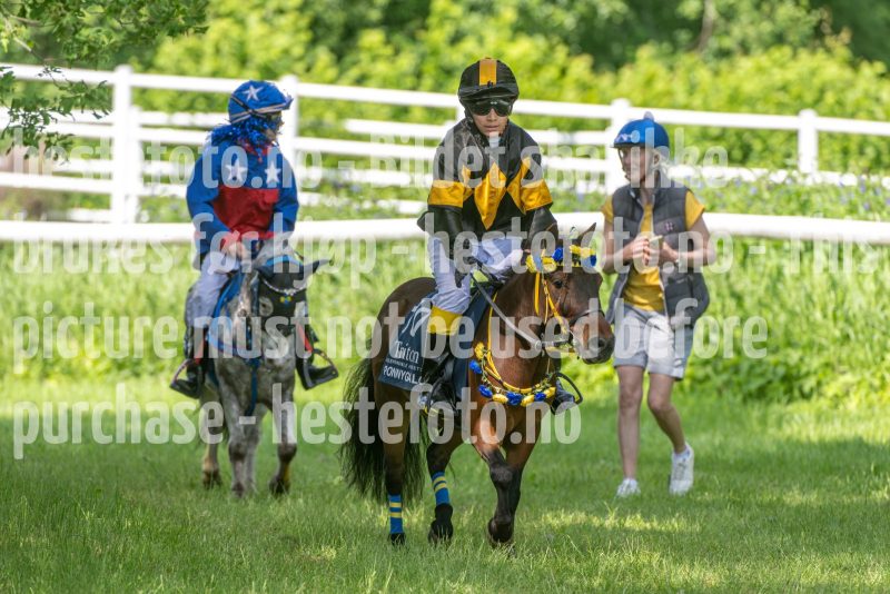 20250614-132939-DSC_8922