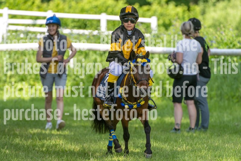 20250614-132940-DSC_8933