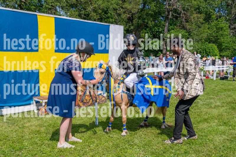 20250614-133052-DSC_2542