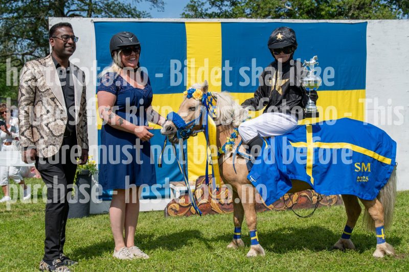 20250614-133252-DSC_8912